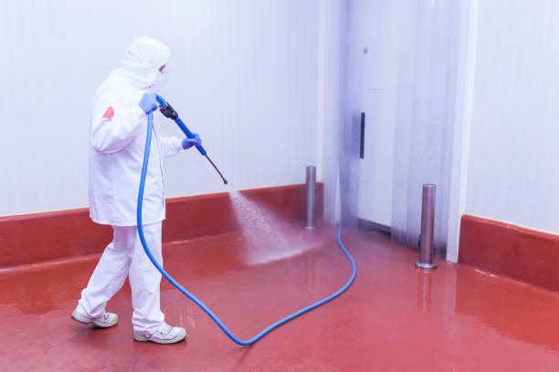 Best Spring Cleaning  in Cairo, GA